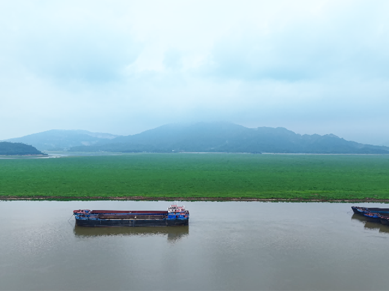 【經典案例】江西省廬山市城市污水尾水深度處理項目（入湖排口水質提升）